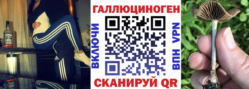 Галлюциногенные грибы прущие грибы  блэк спрут   Камешково 